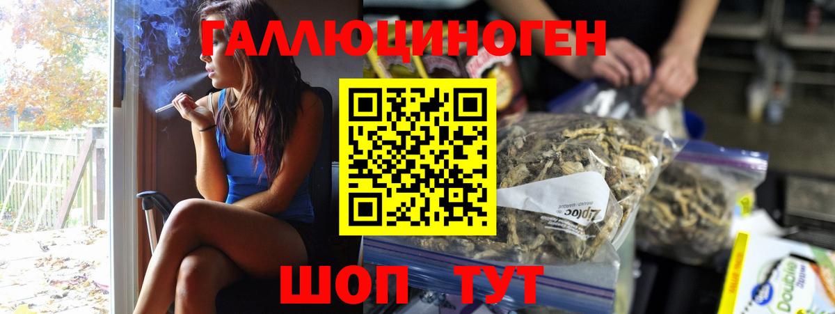 Галлюциногенные грибы Psilocybine cubensis Ханты-Мансийск