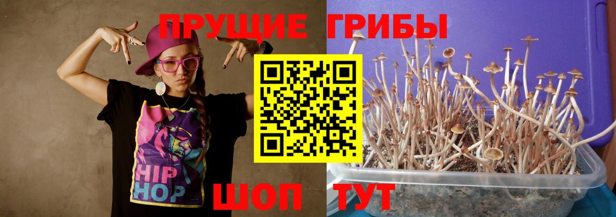 Ханты-Мансийск  Псилоцибиновые грибы GOLDEN TEACHER  Вход с VPN  Псилоцибиновые грибы GOLDEN TEACHER 